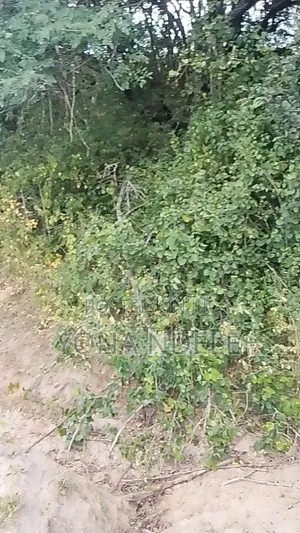 Shamba Linauzwa