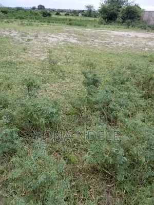 Shamba Lina