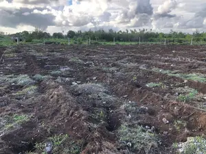: ⁠2 Hectares Equipped Land (Water Electricity) - Pete, Jozani⁠