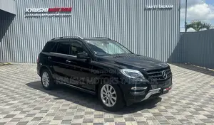 Mercedes-Benz M Class 2015 Black