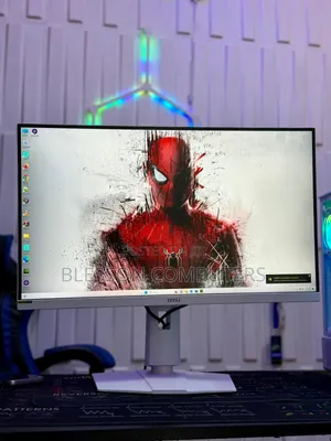 Monitor, Msi Mag