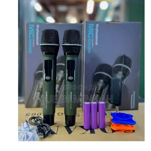 Professional Dual Wireless Dynamic Microphone System