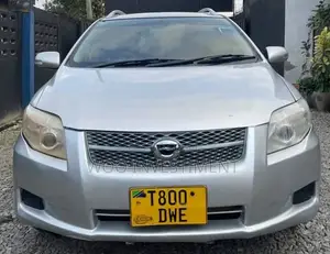 Toyota Corolla Fielder 2007 Silver
