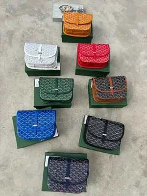 Goyard Leather Shoulder Bags Full Box Package