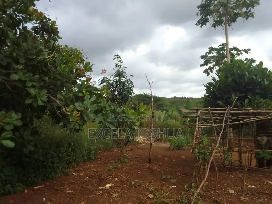 Shamba Linauzwa Mbewe Chalinze