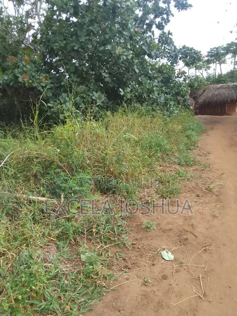 Shamba Linauzwa Mbewe Chalinze