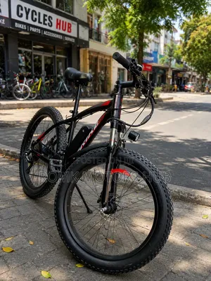 Electric Bike
