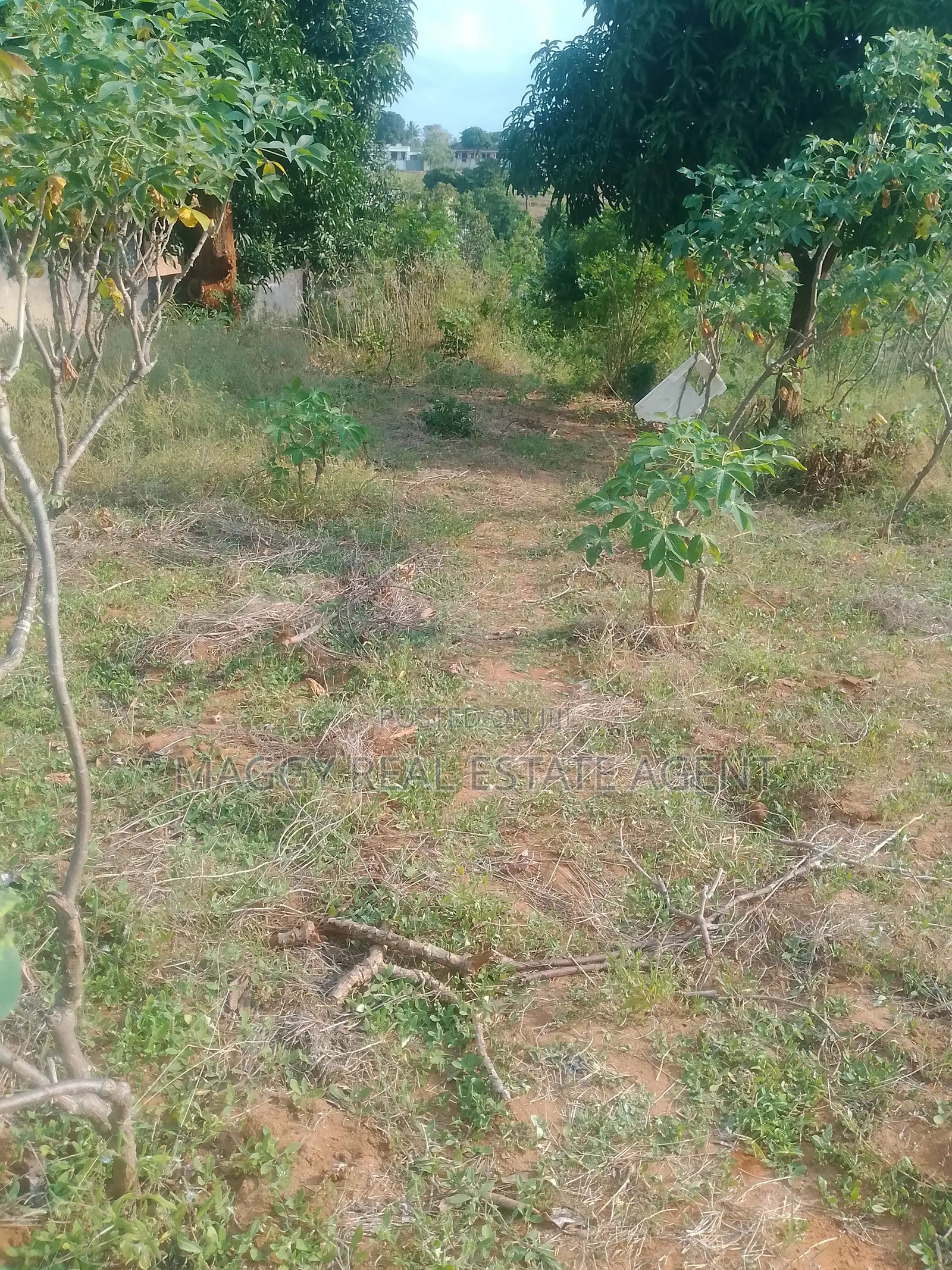 Plot for Sale, in Bunju Beach