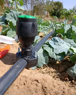 Egg Shape Sprinkler
