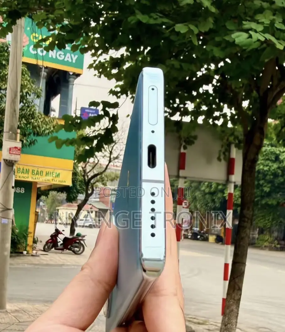 Vivo X100 512 GB Gray
