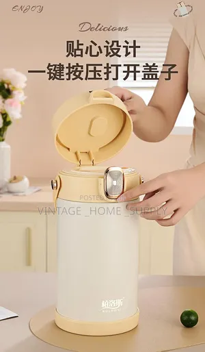 Electric Lunch Box