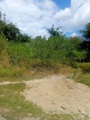 Farm for Sale Ruvuma Songea