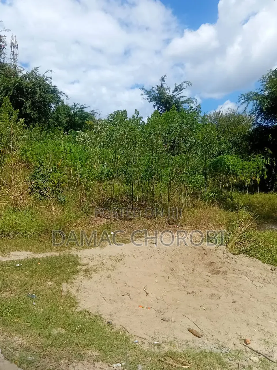 Farm for Sale Ruvuma Songea