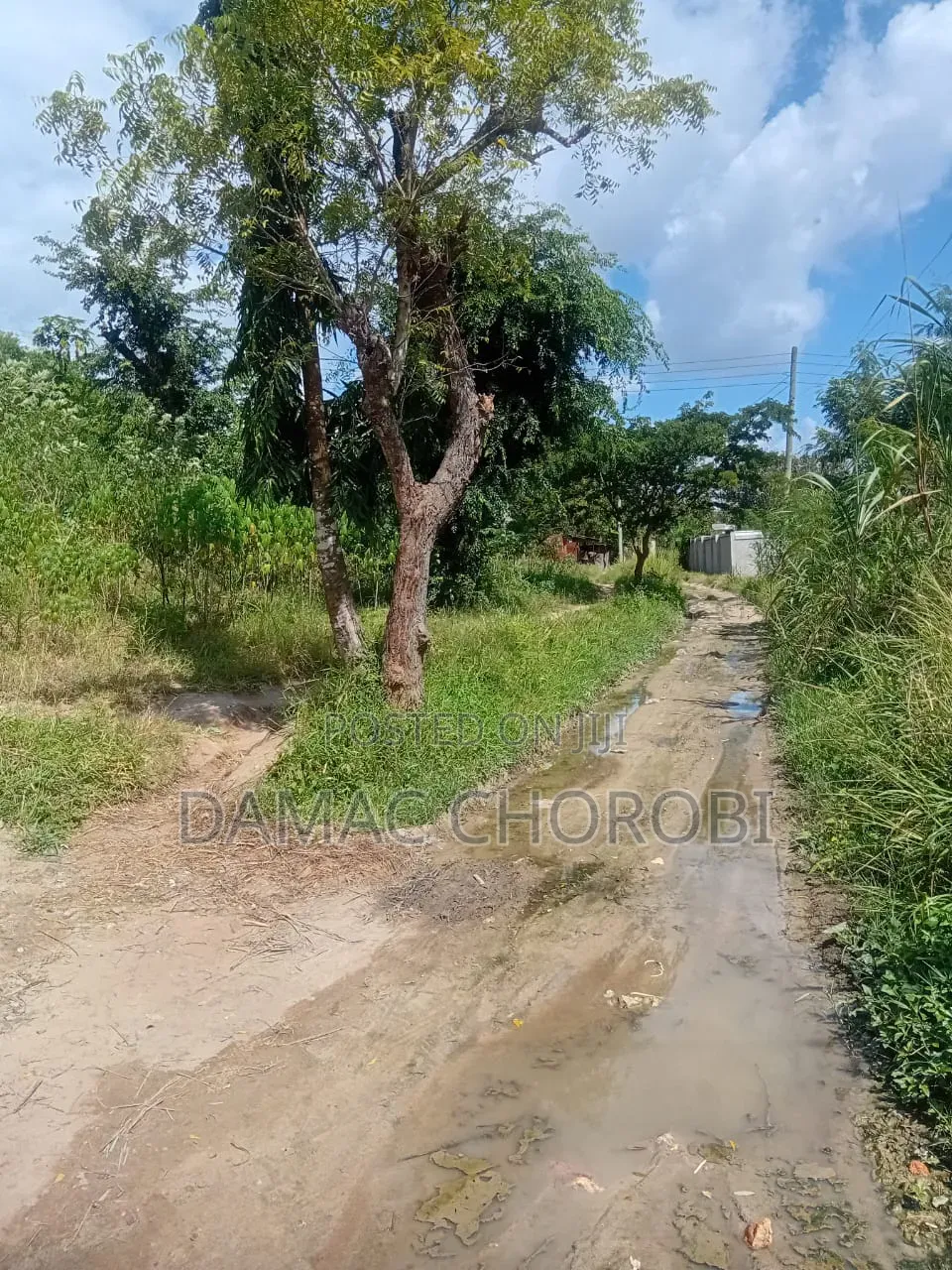 Farm for Sale Ruvuma Songea