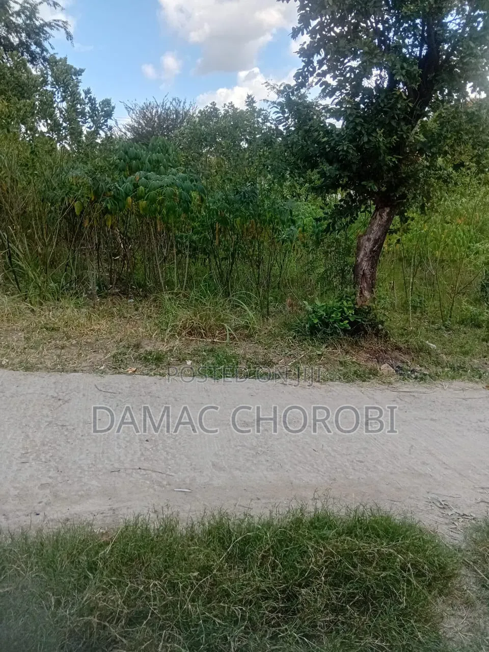 Farm for Sale Ruvuma Songea