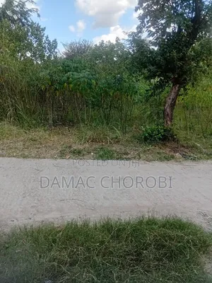 Farm for Sale Ruvuma Songea