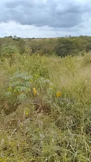 Shamba Linauzwa Mihono Acre 6