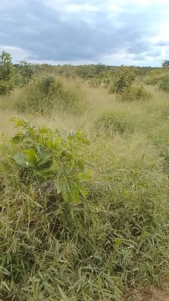Shamba Linauzwa Mihono Acre 6