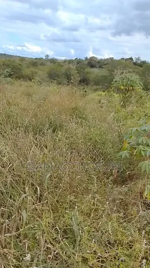 Shamba Linauzwa Mihono Acre 6