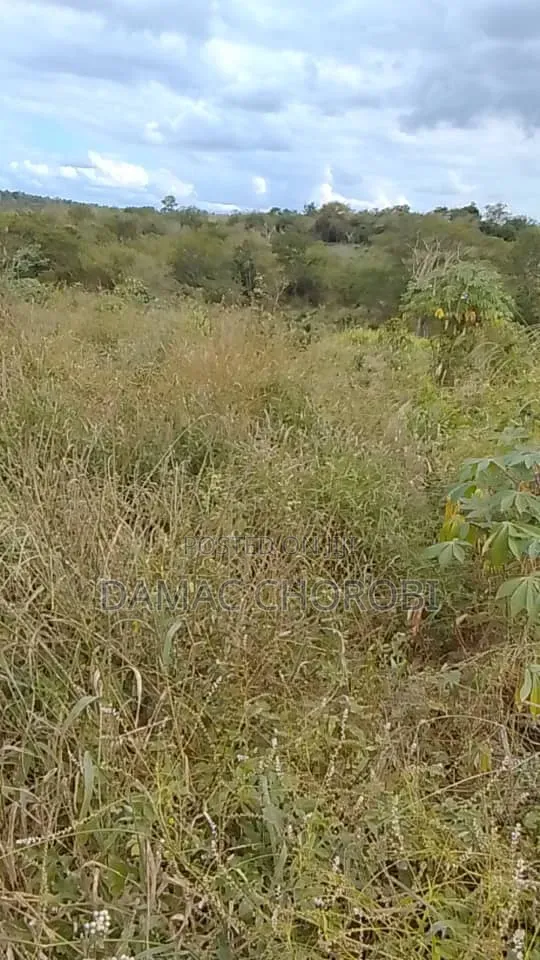 Shamba Linauzwa Mihono Acre 6