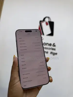 Apple iPhone 16 Pro Max 256 GB Silver