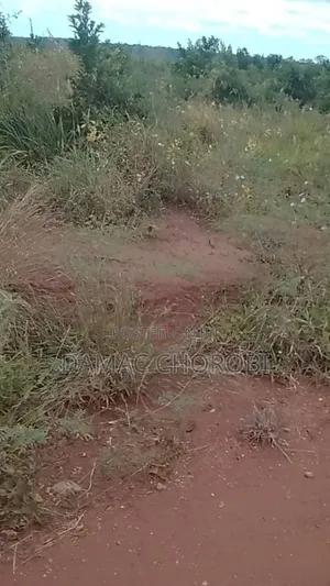 Shamba Linauzwa Mihono Pwani Acre 159