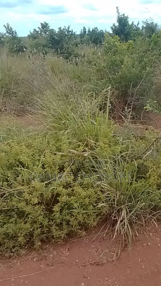 Shamba Linauzwa Mihono Pwani Acre 159