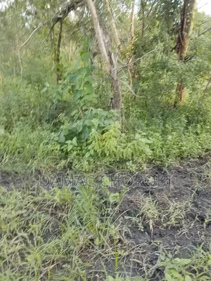 Shamba Linauzwa Mihono Pwani Acre 159