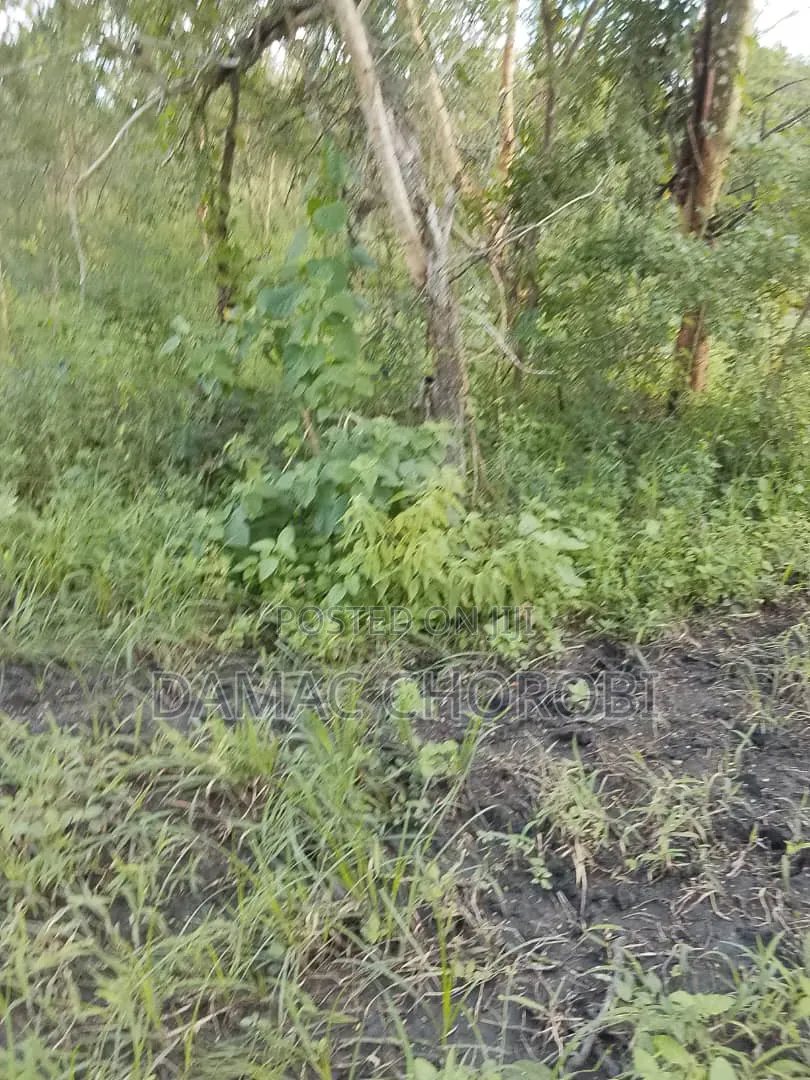 Shamba Linauzwa Mihono Pwani Acre 159
