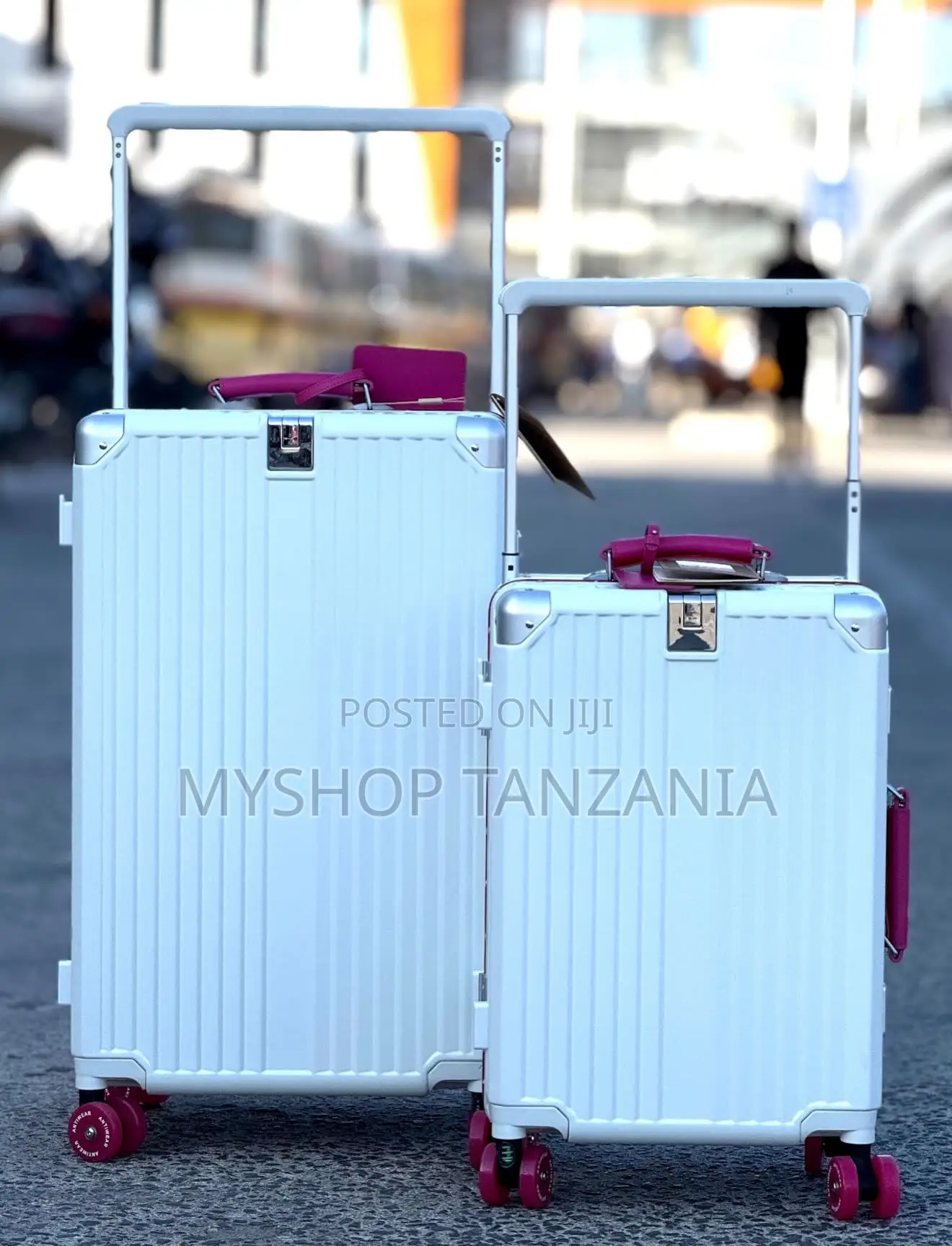 Silver Mabegi Original Travel Bag