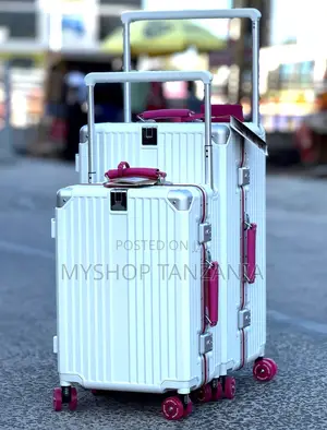 Silver Mabegi Original Travel Bag