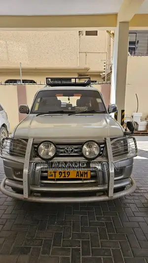 Toyota Land Cruiser Prado 2001 Silver