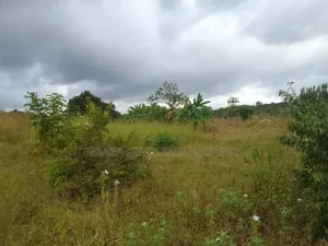 Farm for Sale With 6 Acres for Sale TSH 9,500,000 at Mbwewe Chalinze