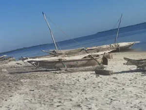 Beach Plot With 30 Acres for Sale at Bagamoyo Zinga