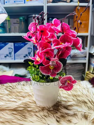 Artificial Flowers Showcase and Table
