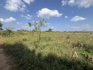 Exceptional Opportunity – 140 Acres Plot in Kimbwanindi, Mkuranga