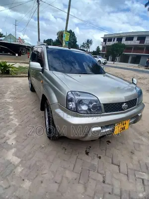 Nissan X-Trail 2006 Beige