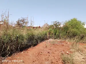 Kiwanja Bora Sokoni