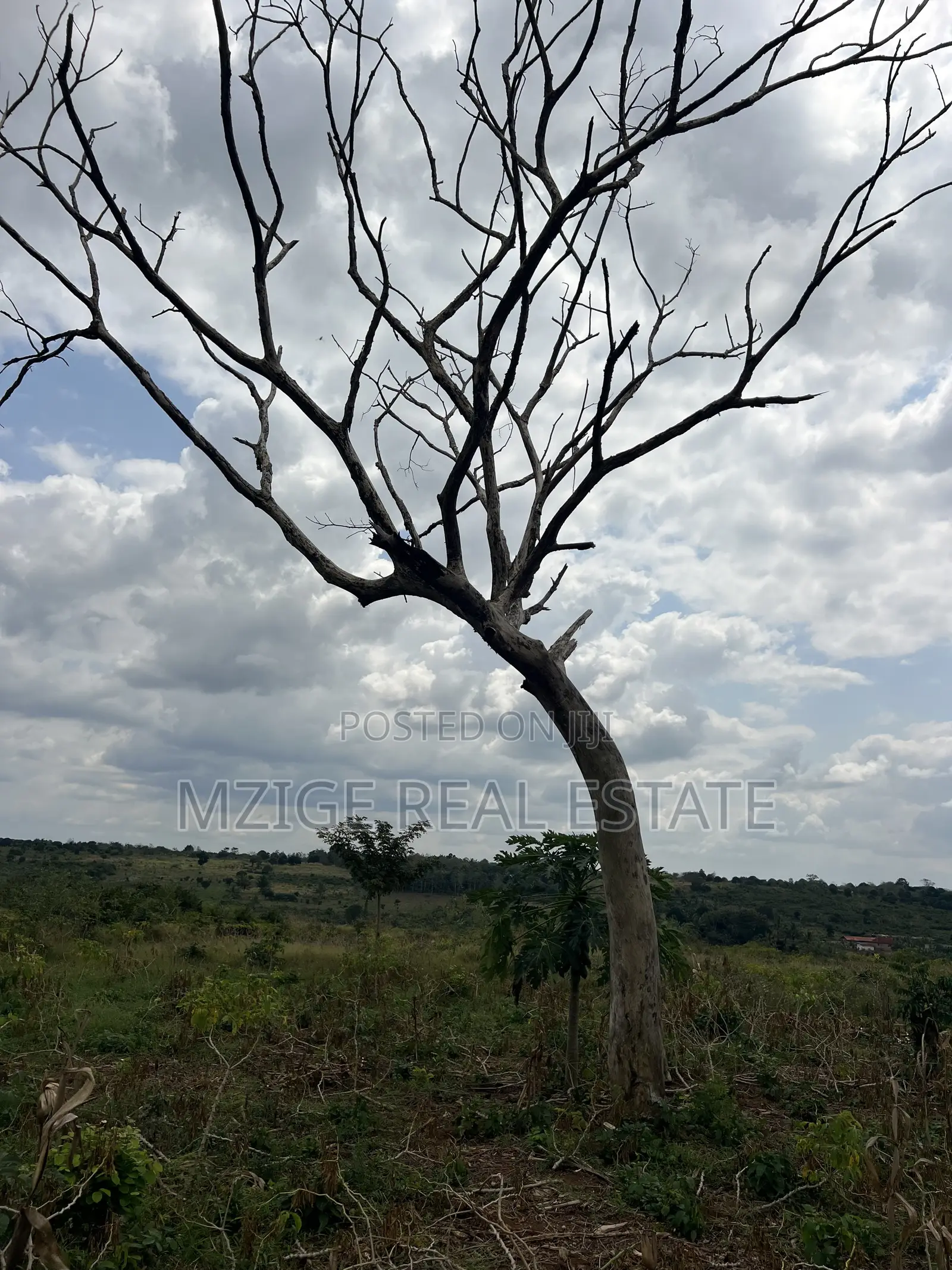 Eneo La Ekari 6 Linauzwa Kisanga, Kisarawe