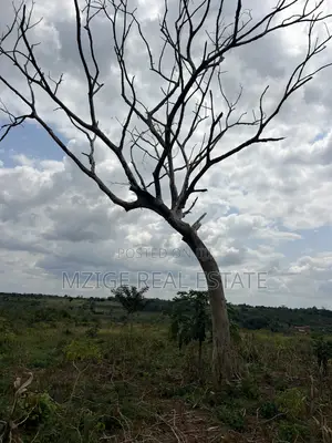 Eneo La Ekari 6 Linauzwa Kisanga, Kisarawe