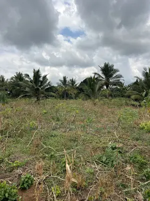 Eneo La Ekari 6 Linauzwa Kisanga, Kisarawe