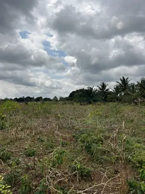 Eneo La Ekari 6 Linauzwa Kisanga, Kisarawe