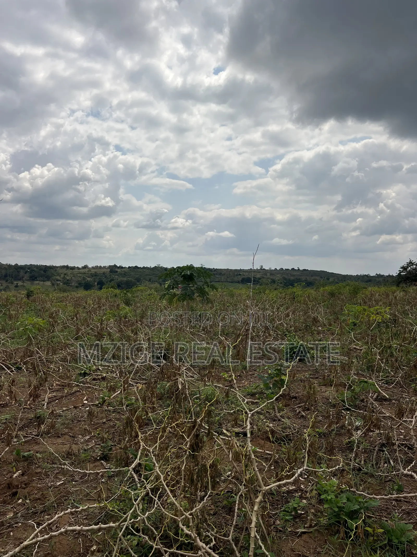 Eneo La Ekari 6 Linauzwa Kisanga, Kisarawe