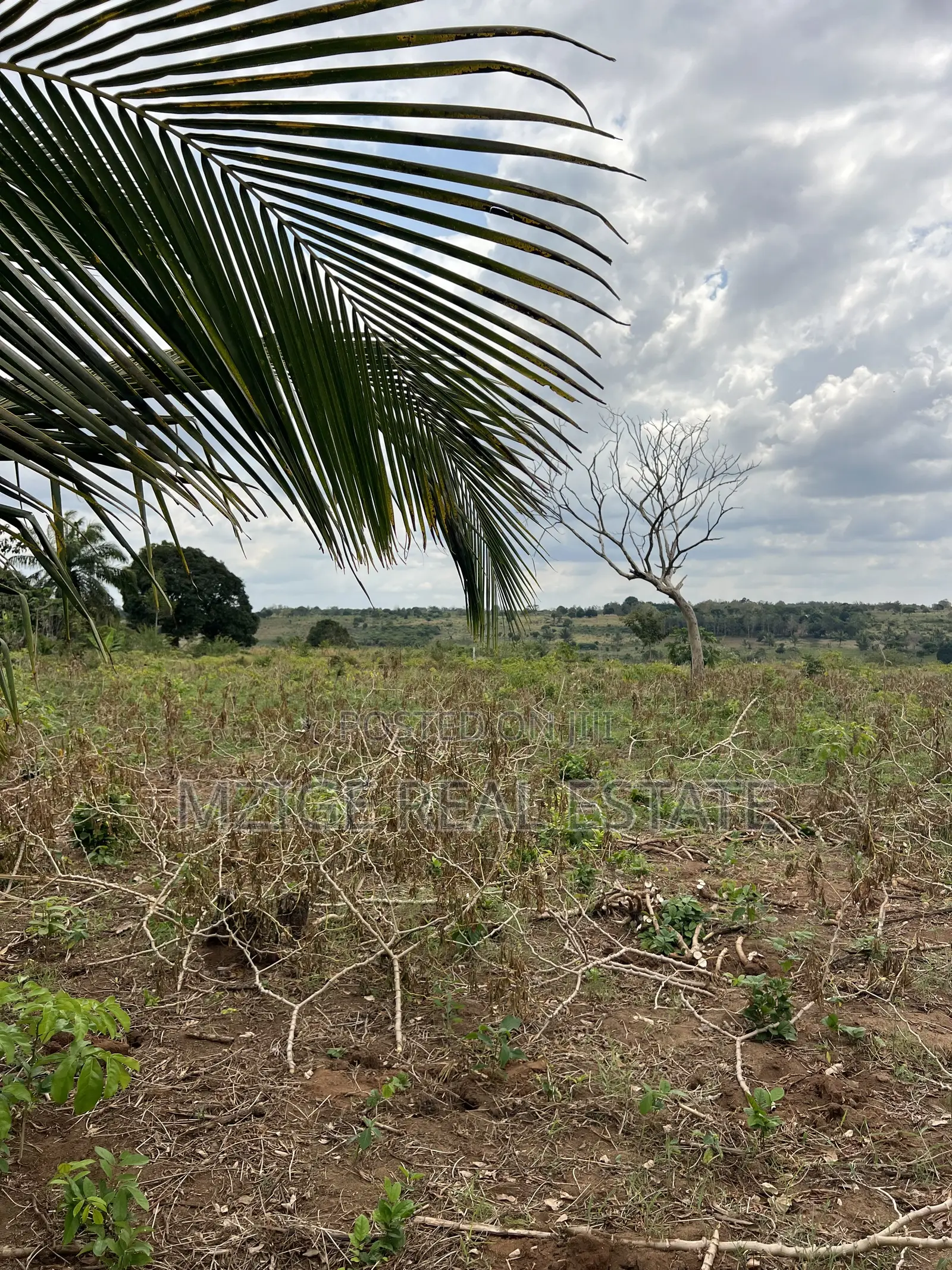 Eneo La Ekari 6 Linauzwa Kisanga, Kisarawe