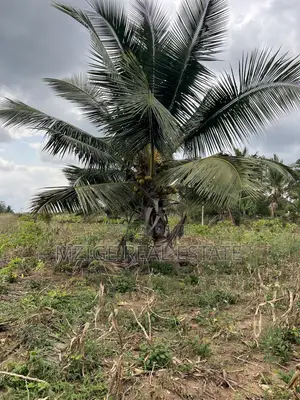 Eneo La Ekari 6 Linauzwa Kisanga, Kisarawe
