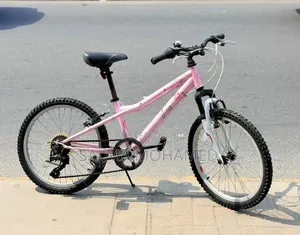 Baiskeli Za Wakubwa Na Watoto