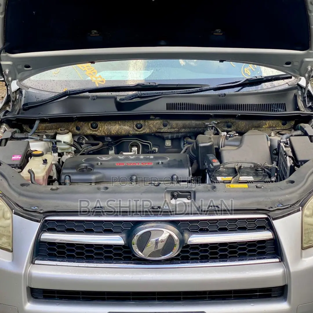 Toyota RAV4 2010 Silver