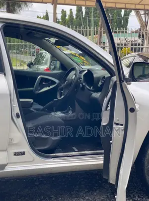 Toyota RAV4 2010 Silver