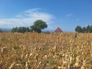 Plot for Sale