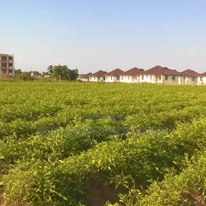 Kiwanja Watumishi Housing Geza Ulole Kigamboni